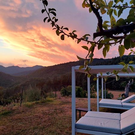 Villa Giuliana B&B Scarperia Luaran gambar