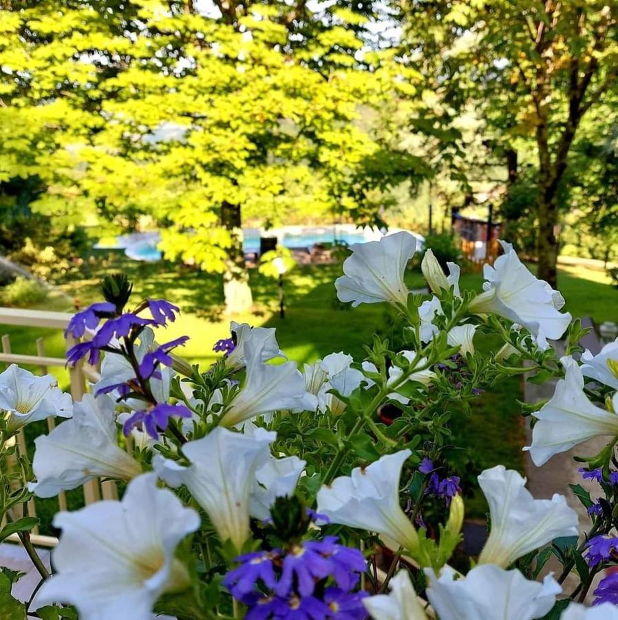 Villa Giuliana B&B Scarperia Luaran gambar
